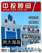 同大海島:中國(guó)超纖革領(lǐng)軍企業(yè)