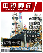 寶塔石化:多元經(jīng)營(yíng)的民營(yíng)石化企業(yè)