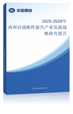 2025-2029Ϳh(zhn)da(chn)I(y)l(f)չ(zhn)о