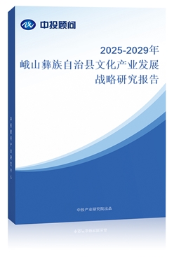 2025-2029ɽοhĻa(chn)I(y)l(f)չ(zhn)о(bo)